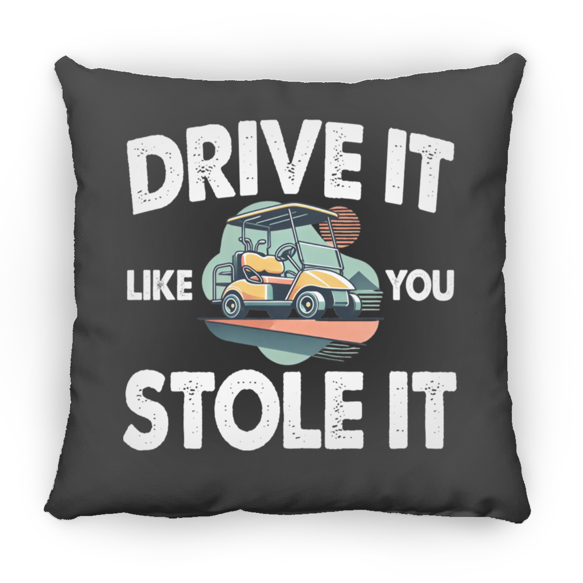 Drive It Like You Stole It Throw Pillow